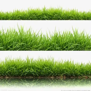 绿色草地直通车图主图钻展图绿叶清新背景