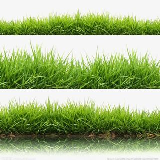 绿色草地直通车图主图钻展图绿叶清新背景