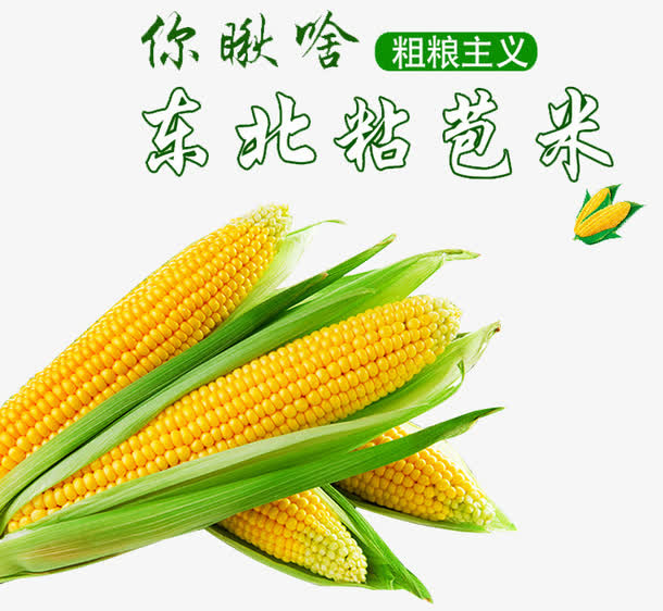 东北粘苞米免抠