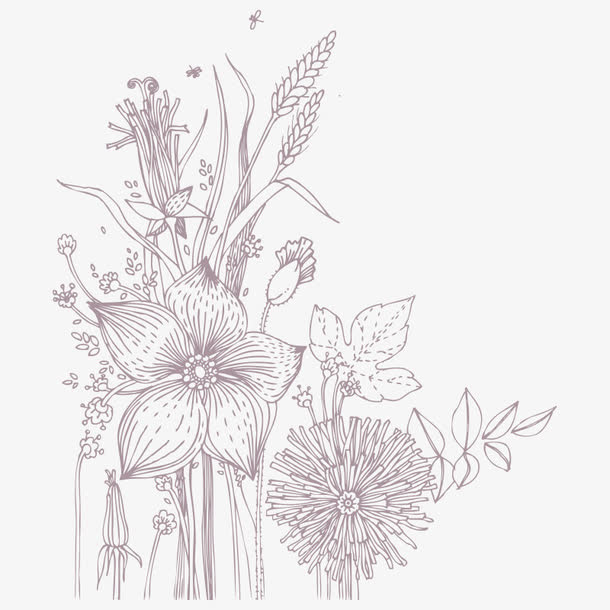 花朵 花卉免抠