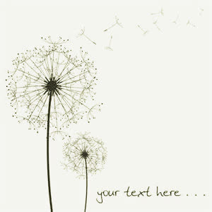 蒲公英简笔画免抠