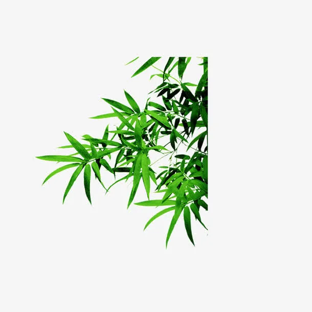 竹子免抠