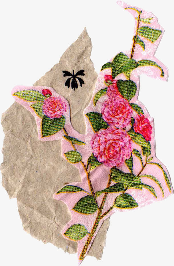 花和牛皮纸免抠