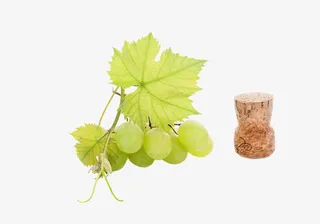 简单美味养生美食葡萄叶藤免抠图免抠