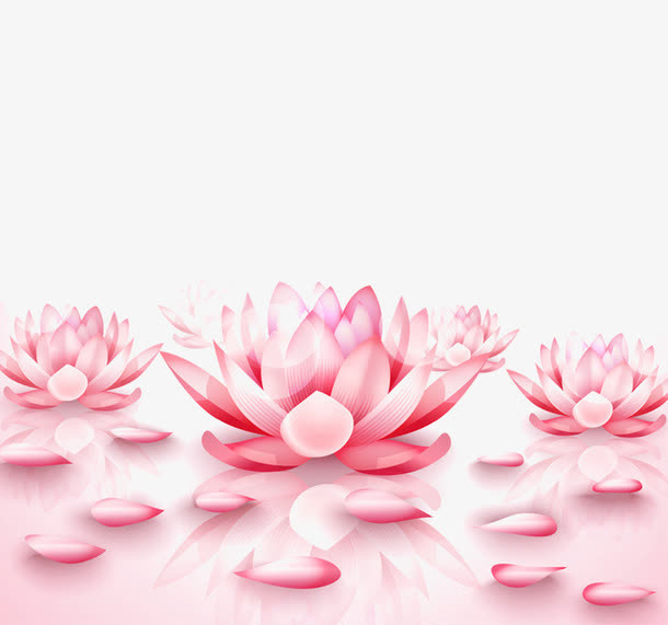 粉色睡莲免抠