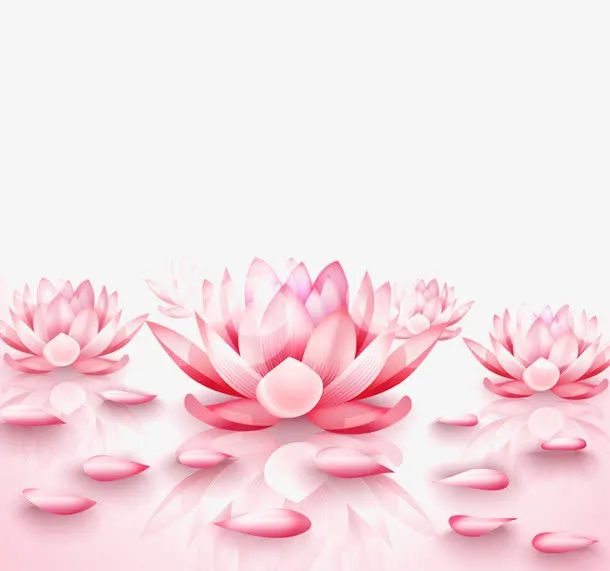 粉色睡莲免抠