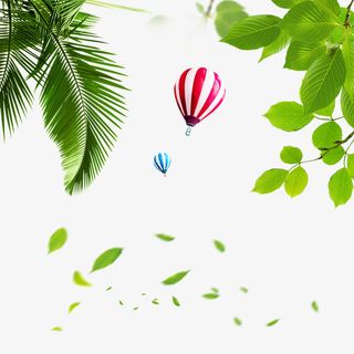 春天生机勃勃的绿叶 绿色免抠装饰植物元素