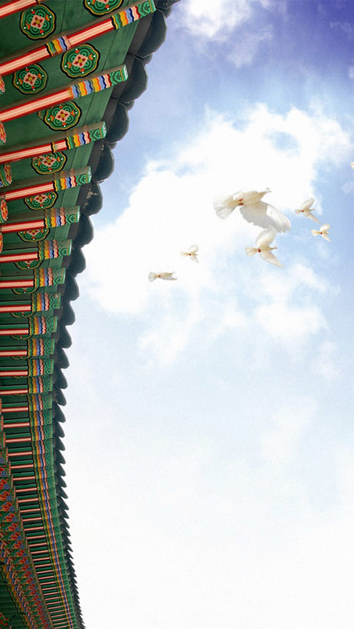 中国风白鸽背景高清