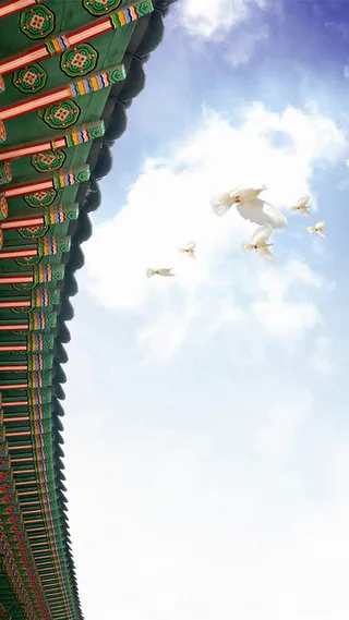 中国风白鸽背景高清