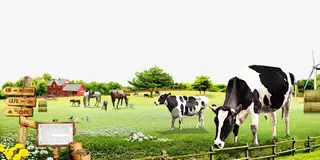 田园风牧场免抠装饰动物元素