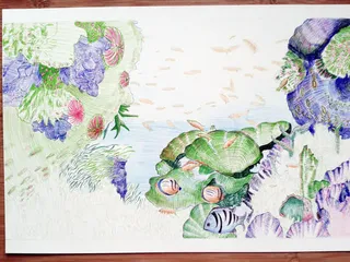 治愈清新海底鱼类免抠