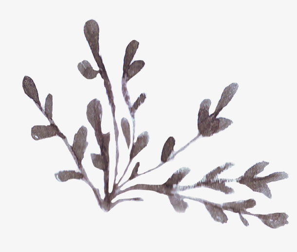 褐色植物水彩风免抠