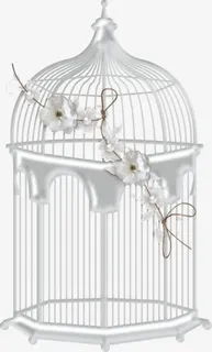 银色笼子免抠