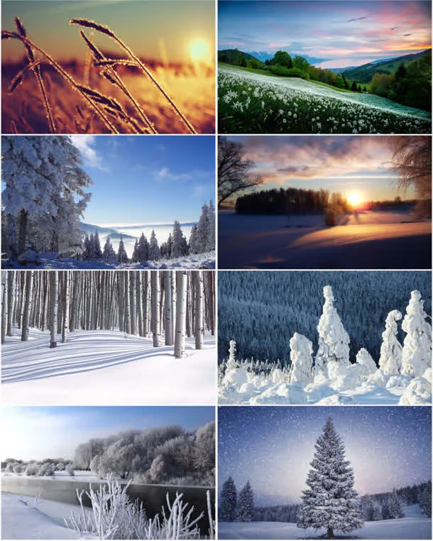 春夏秋冬摄唯美影图免抠