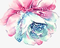 手绘鲜花艺术插画免抠