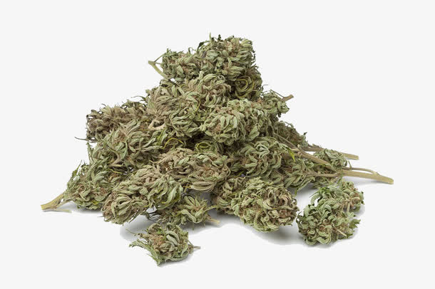 大麻干摄影免抠