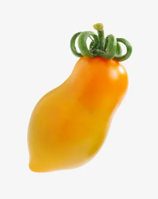 实物黄色带藤樱桃番茄免抠