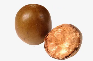 卡通手绘罗汉果药材免抠