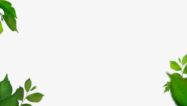 深绿色叶子 png素材免抠