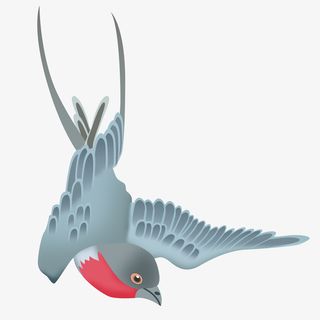 燕子卡通手绘 春季免抠