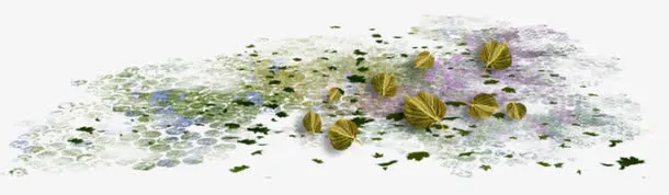 青苔上的落叶免抠