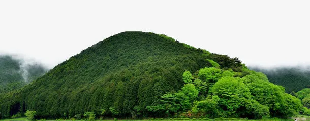 绿色清新山水免抠