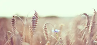 淘宝背景图高清