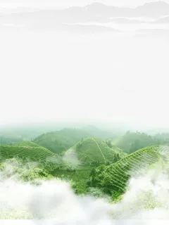 绿色的山丘免抠