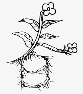 2017春天艺术字免抠