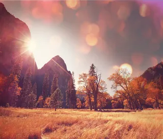 秋天草地树木风景免抠