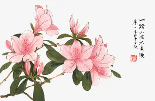 庆典花卉鲜花元素  卡通手绘花枝免抠