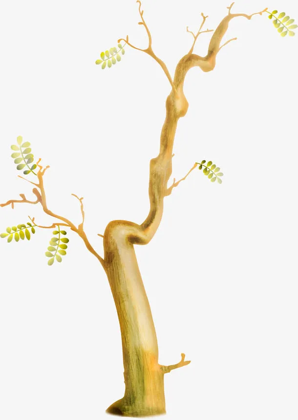 秋天卡通手绘树枝免抠