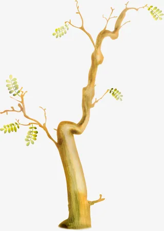 秋天卡通手绘树枝免抠