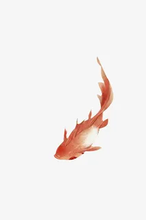 漂浮小金鱼免抠