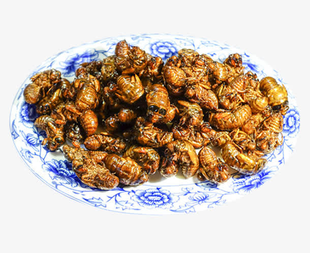 油炸金蝉蛹免抠