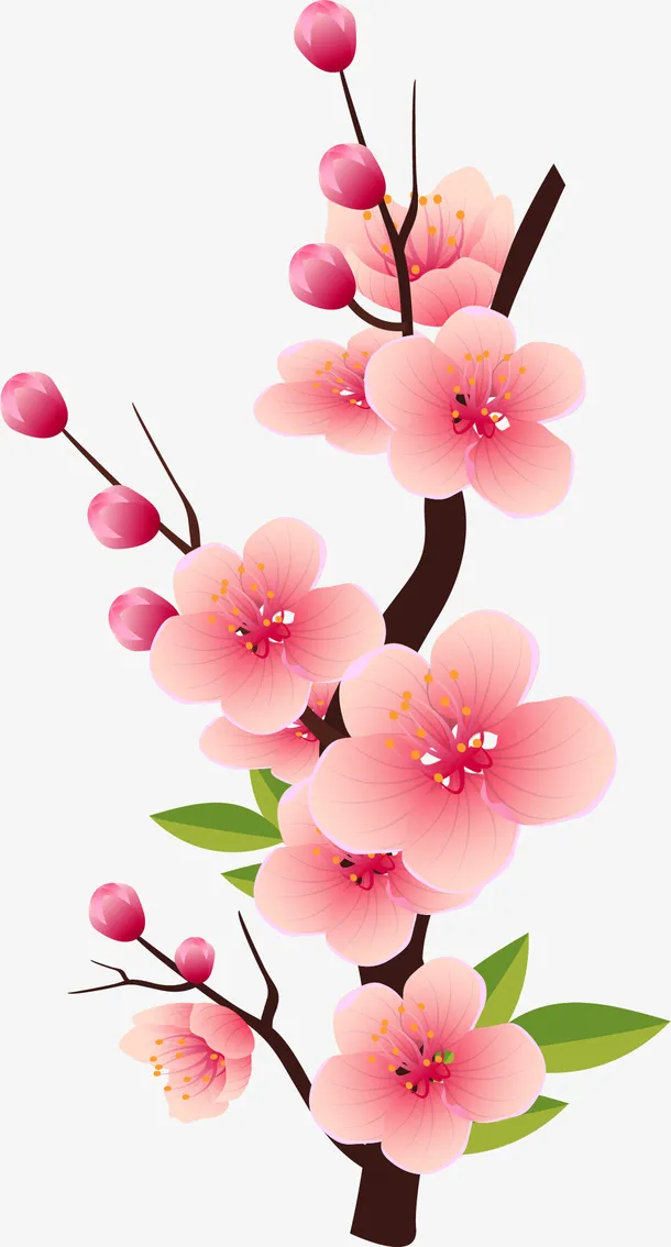 卡通手绘粉色的梅花免抠