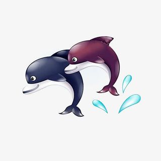 两只海豚免抠
