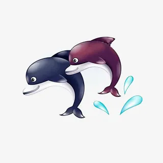 两只海豚免抠