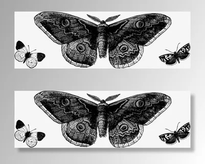 复古蝴蝶背景免抠 复古蝴蝶背景免抠