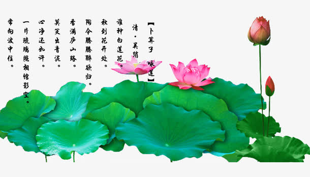 油墨字体荷花塘免抠