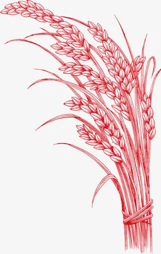 红色创意麦田麦苗免抠