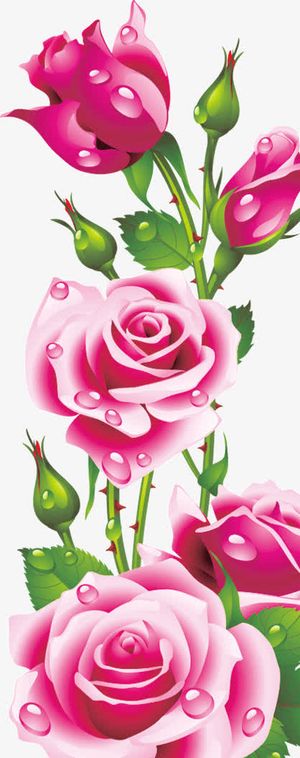 姹紫嫣红花朵花苞绿叶免抠