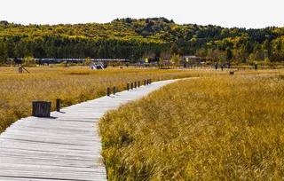著名河北木兰围场免抠