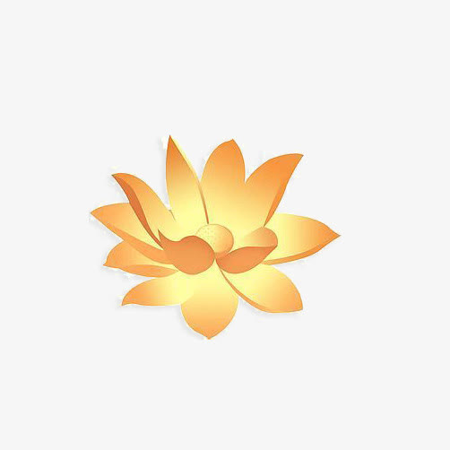 传统荷花免抠
