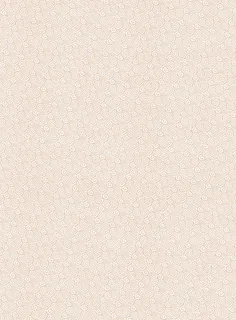 高档皮质花纹邀请函免抠