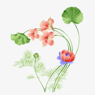 可爱小花花素材免抠