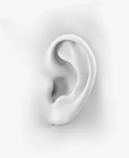 一个灰色的耳朵免抠