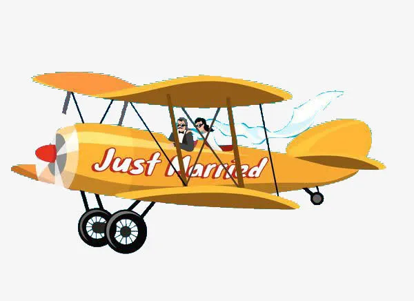 迎接新娘的飞机免抠