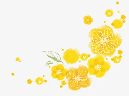 小黄花免抠 小黄花免抠