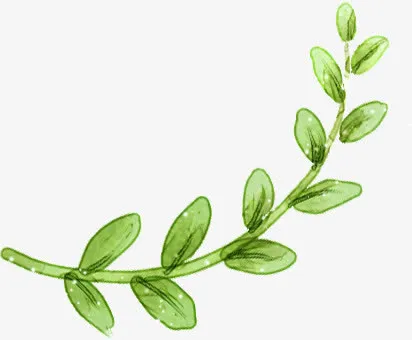 绿色清新卡通树枝植物免抠